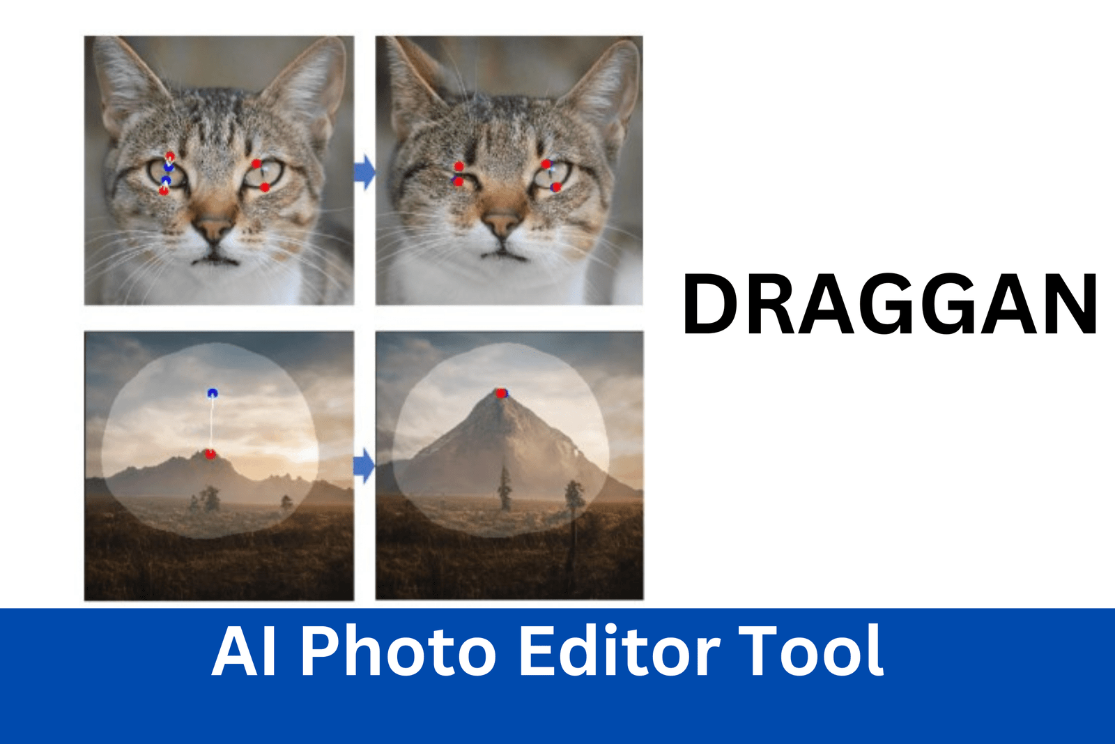 Draggan Ai Photo Editor